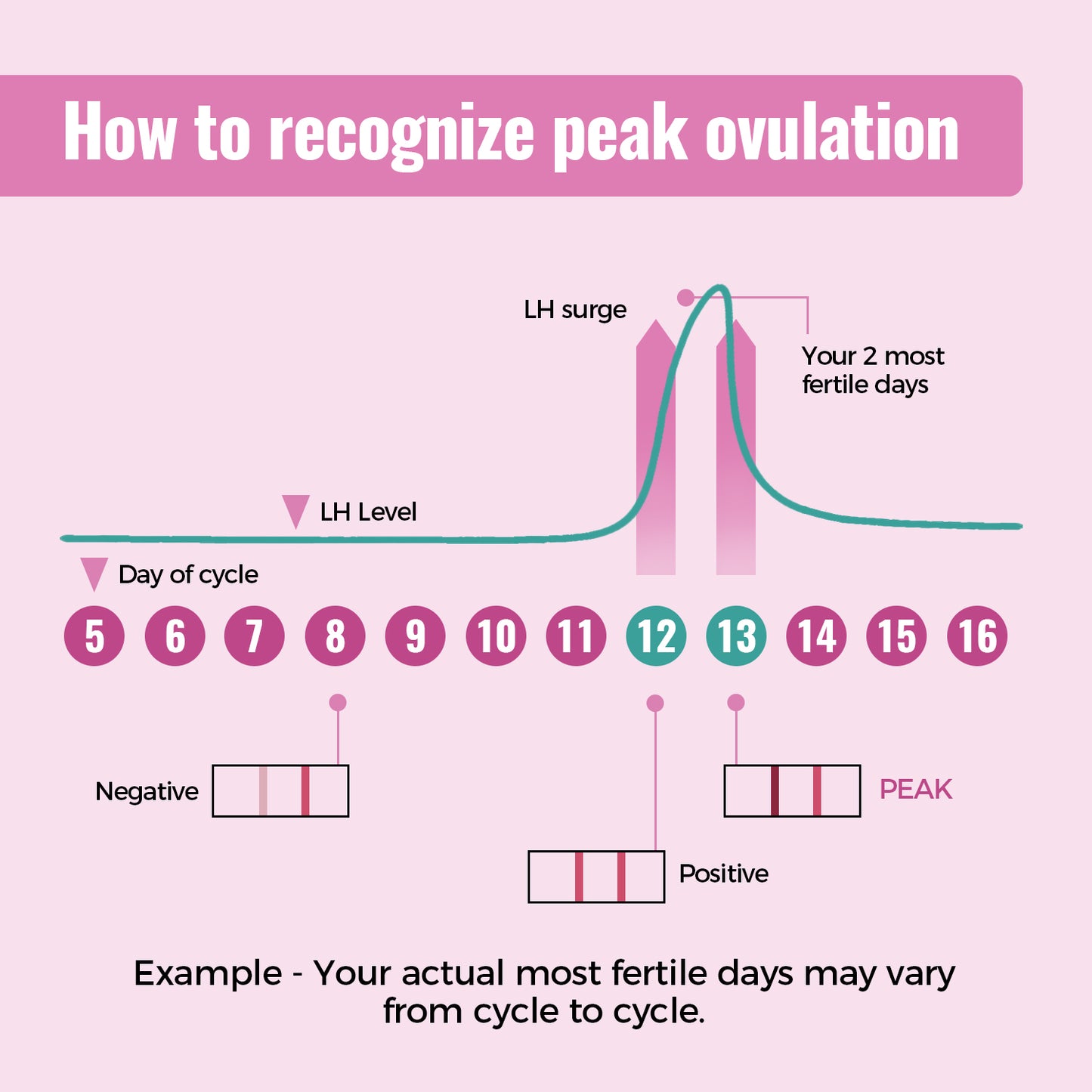 HOMEDSUN 20 Count LH Ovulation Test Strips Easy to Use Ovulation Tracker Kit Accurate Fertility Tracking for Women Quick Results at Home Use